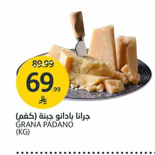 available at أسواق الجزيرة in مملكة العربية السعودية, السعودية, سعودية - الرياض