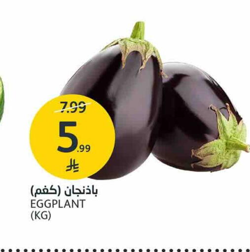 Eggplant available at AlJazera Shopping Center in KSA, Saudi Arabia, Saudi - Riyadh