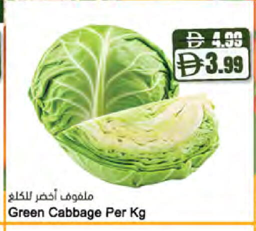 Cabbage available at المايا سوبرماركت in الإمارات العربية المتحدة , الامارات - ٱلْعَيْن‎