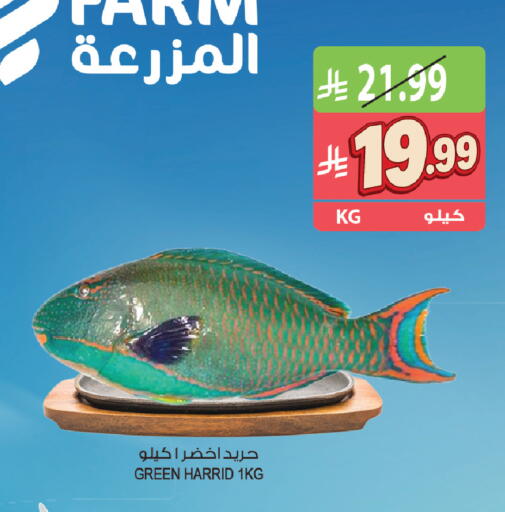available at المزرعة in مملكة العربية السعودية, السعودية, سعودية - تبوك