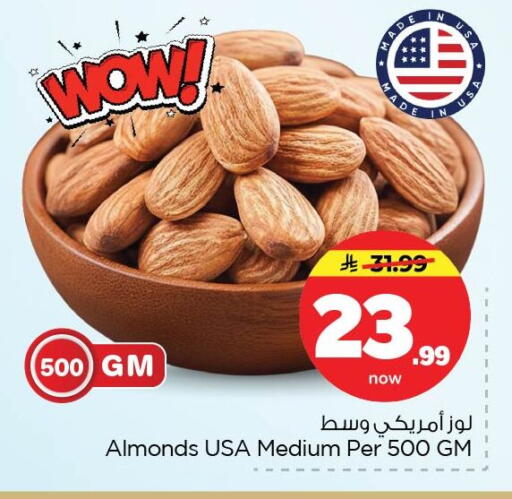 available at نستو in مملكة العربية السعودية, السعودية, سعودية - الأحساء‎