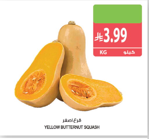Squash available at Farm  in KSA, Saudi Arabia, Saudi - Tabuk