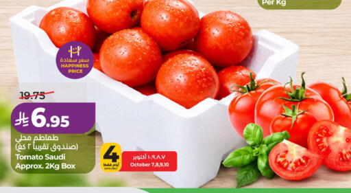 Tomato from Saudi Arabia available at لولو هايبرماركت in مملكة العربية السعودية, السعودية, سعودية - الخبر‎