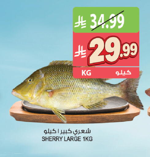 available at المزرعة in مملكة العربية السعودية, السعودية, سعودية - ينبع