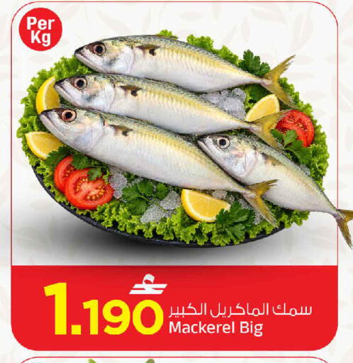 available at مارك & سايف in عُمان - مسقط‎