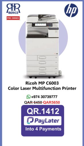 available at Royce World Trading & Services W.L.L in Qatar - Al Rayyan