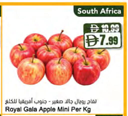 Apple from South Africa available at Almaya Supermarkets in UAE - Ras al Khaimah