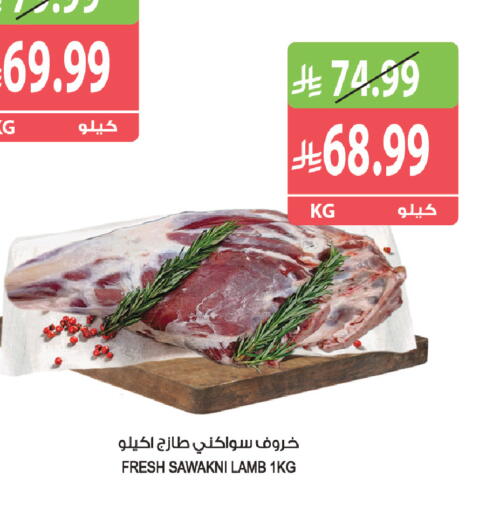 available at المزرعة in مملكة العربية السعودية, السعودية, سعودية - ينبع