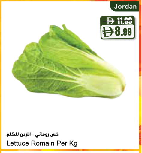 Lettuce from Jordan available at Almaya Supermarkets in UAE - Abu Dhabi
