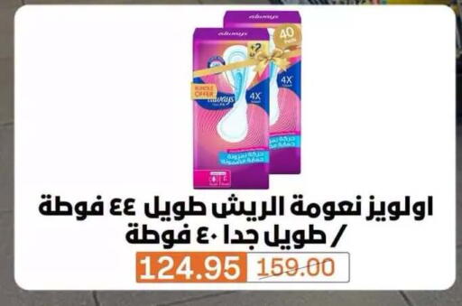 available at Beit El Gomla in Egypt - Cairo