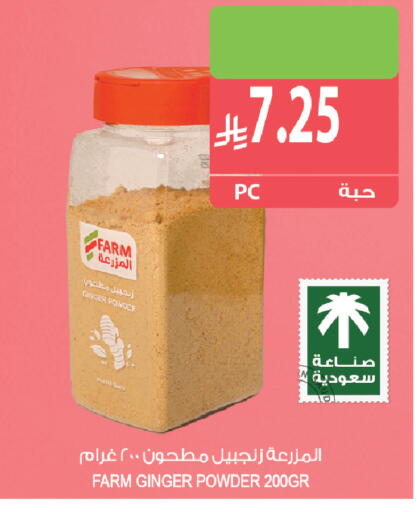Ginger available at Farm  in KSA, Saudi Arabia, Saudi - Yanbu