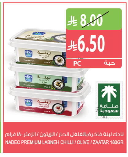 Chilli available at Farm  in KSA, Saudi Arabia, Saudi - Riyadh