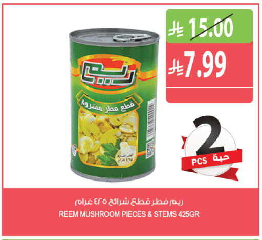 Mushroom available at المزرعة in مملكة العربية السعودية, السعودية, سعودية - الرياض