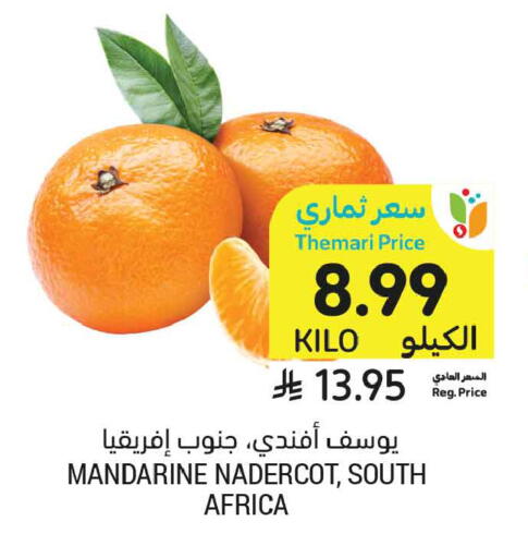 from South Africa available at أسواق التميمي in مملكة العربية السعودية, السعودية, سعودية - تبوك