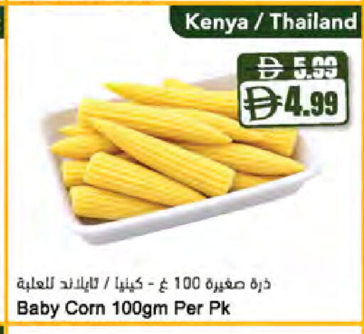 from Kenya Thailand available at المايا سوبرماركت in الإمارات العربية المتحدة , الامارات - ٱلْعَيْن‎