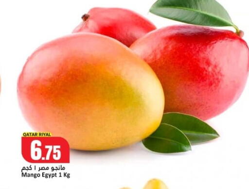 Mango from Qatar Egypt available at دانة هايبرماركت in قطر - الدوحة