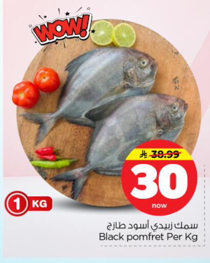 available at نستو in مملكة العربية السعودية, السعودية, سعودية - بريدة