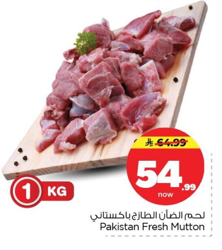 available at نستو in مملكة العربية السعودية, السعودية, سعودية - الأحساء‎