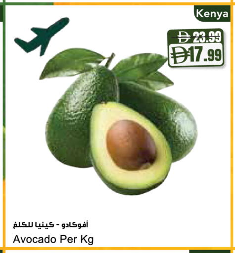 Avocado from Kenya available at المايا سوبرماركت in الإمارات العربية المتحدة , الامارات - ٱلْعَيْن‎