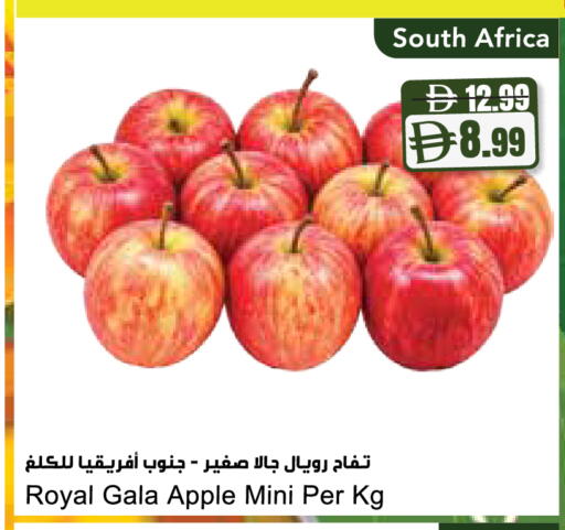 Apple from South Africa available at Almaya Supermarkets in UAE - Ras al Khaimah