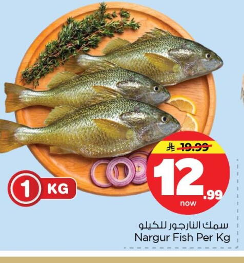 available at Nesto in KSA, Saudi Arabia, Saudi - Al Hasa