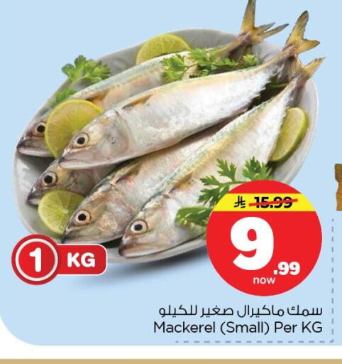 available at نستو in مملكة العربية السعودية, السعودية, سعودية - المنطقة الشرقية