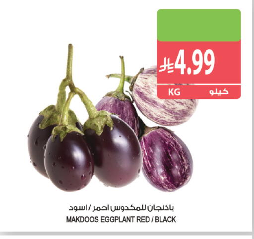 Eggplant available at المزرعة in مملكة العربية السعودية, السعودية, سعودية - سكاكا