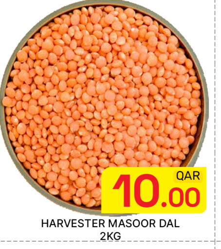 available at مجلس هايبرماركت in قطر - الدوحة
