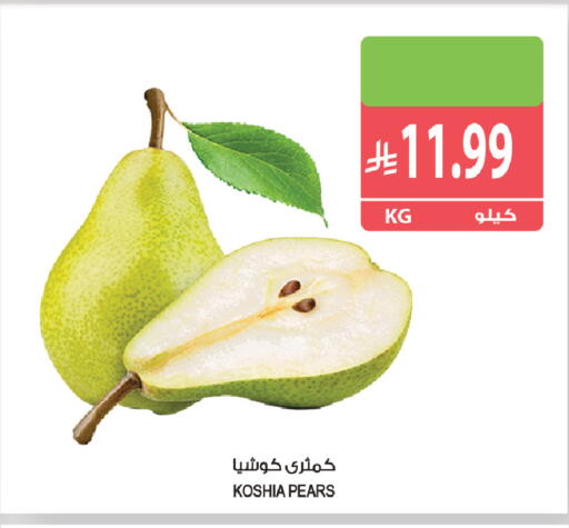 available at المزرعة in مملكة العربية السعودية, السعودية, سعودية - ينبع