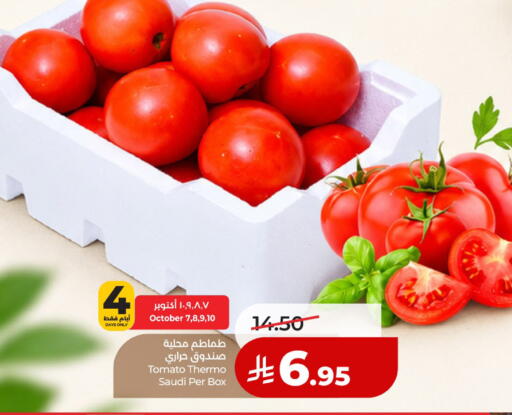 Tomato from Saudi Arabia available at لولو هايبرماركت in مملكة العربية السعودية, السعودية, سعودية - حائل‎