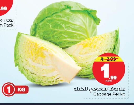 Cabbage available at Nesto in KSA, Saudi Arabia, Saudi - Dammam
