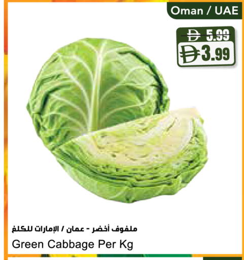 Cabbage from Oman available at المايا سوبرماركت in الإمارات العربية المتحدة , الامارات - ٱلْعَيْن‎