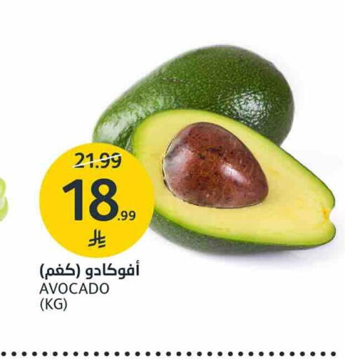 Avocado available at AlJazera Shopping Center in KSA, Saudi Arabia, Saudi - Riyadh