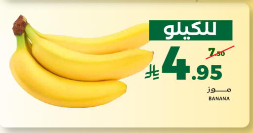 Banana available at ميرا مارت مول in مملكة العربية السعودية, السعودية, سعودية - جدة
