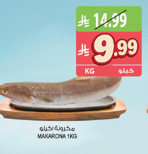 available at Farm  in KSA, Saudi Arabia, Saudi - Sakaka