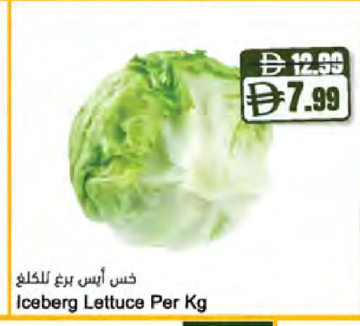 Lettuce available at المايا سوبرماركت in الإمارات العربية المتحدة , الامارات - ٱلْعَيْن‎
