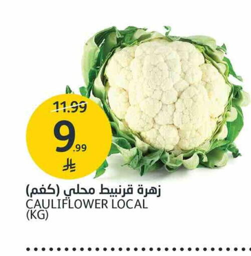 Cauliflower available at AlJazera Shopping Center in KSA, Saudi Arabia, Saudi - Riyadh