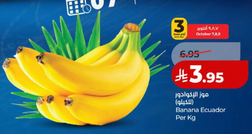 Banana from Ecuador available at لولو هايبرماركت in مملكة العربية السعودية, السعودية, سعودية - الخبر‎