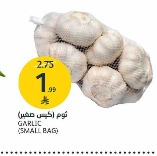 Garlic available at AlJazera Shopping Center in KSA, Saudi Arabia, Saudi - Riyadh