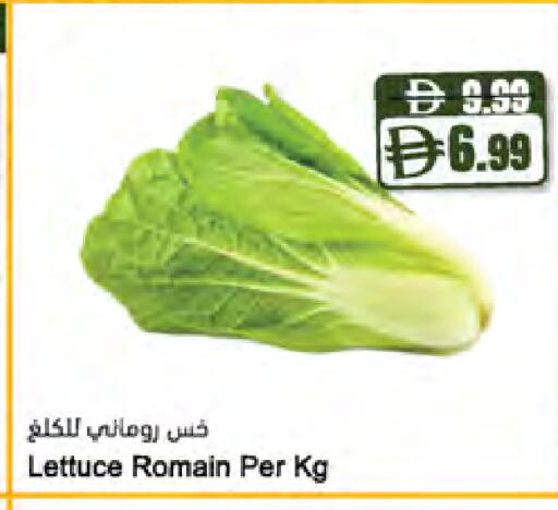 Lettuce available at المايا سوبرماركت in الإمارات العربية المتحدة , الامارات - ٱلْعَيْن‎