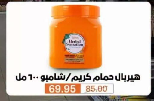 available at Beit El Gomla in Egypt - Cairo