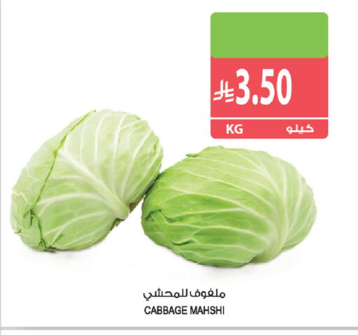 Cabbage available at المزرعة in مملكة العربية السعودية, السعودية, سعودية - سكاكا