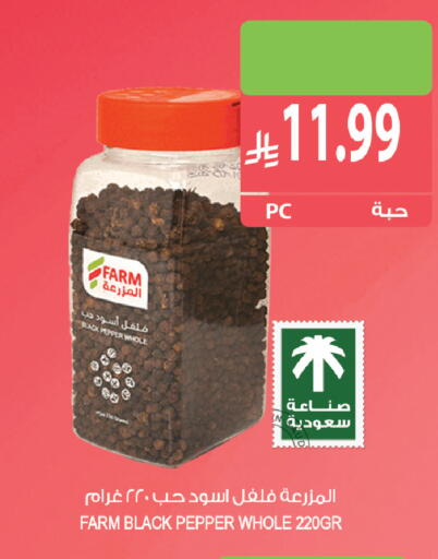 Pepper available at Farm  in KSA, Saudi Arabia, Saudi - Yanbu