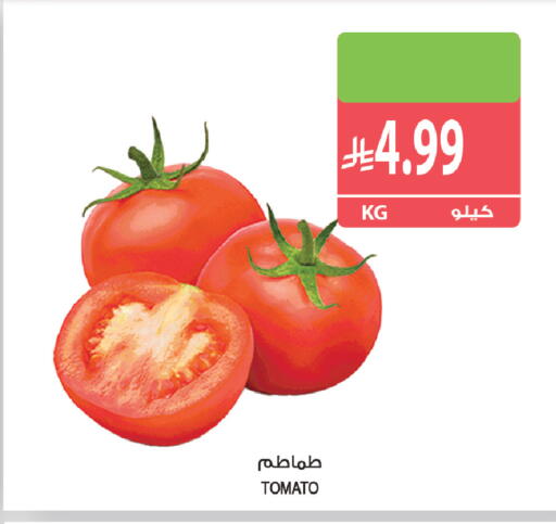 Tomato available at Farm  in KSA, Saudi Arabia, Saudi - Tabuk