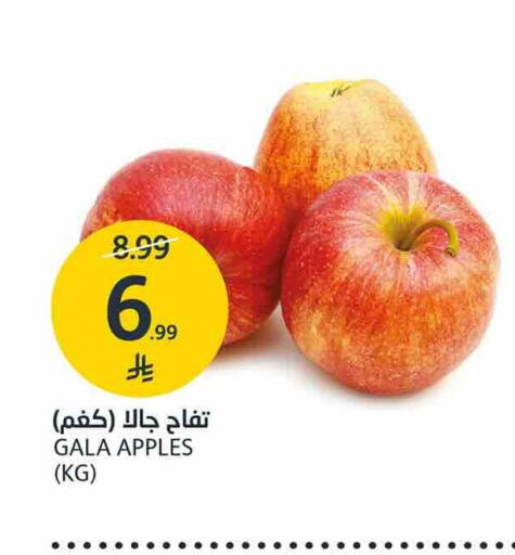 available at أسواق الجزيرة in مملكة العربية السعودية, السعودية, سعودية - الرياض