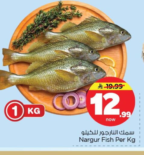 available at Nesto in KSA, Saudi Arabia, Saudi - Al Khobar