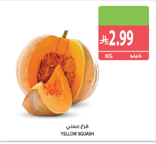 Squash available at المزرعة in مملكة العربية السعودية, السعودية, سعودية - سكاكا