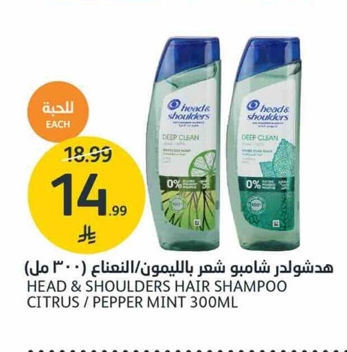 Pepper Mint available at AlJazera Shopping Center in KSA, Saudi Arabia, Saudi - Riyadh