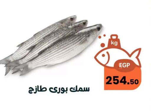 available at Arafa  in Egypt - Cairo