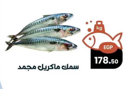 available at Arafa  in Egypt - Cairo